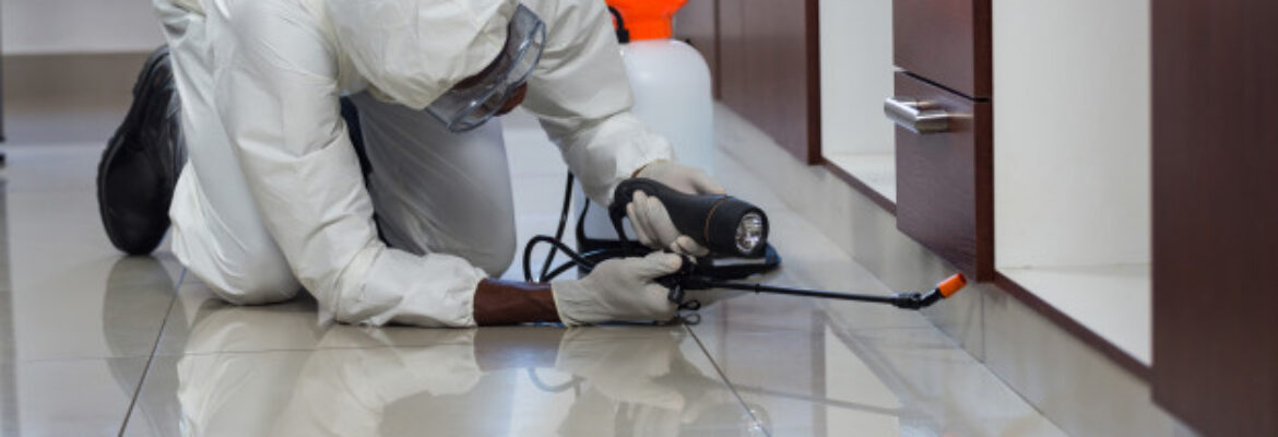 Major Pest Control Melbourne