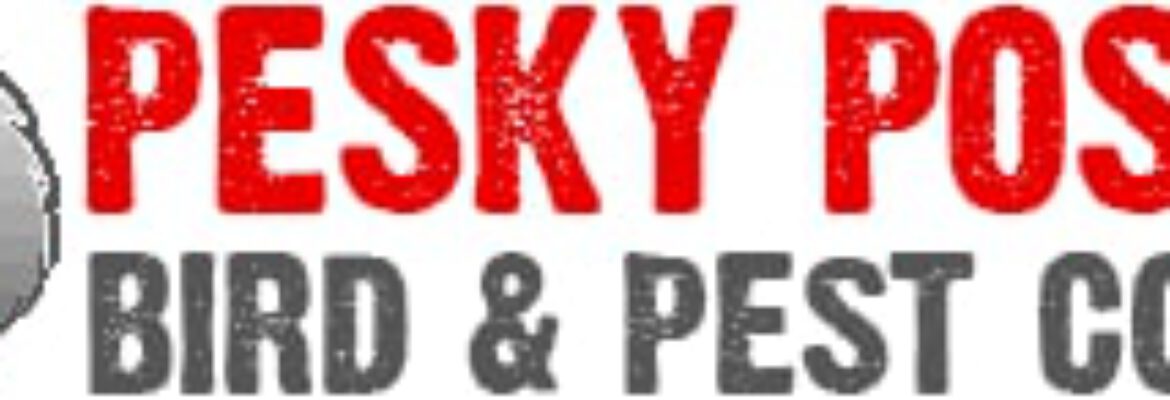 Pesky Possum Bird & Pest Control