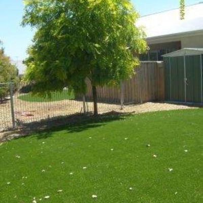 Xtreme Turf