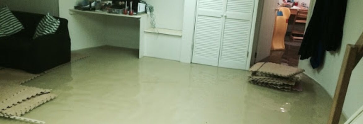 Flood Damage Restoration Canberra