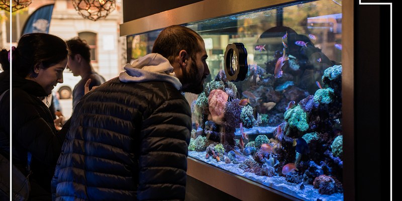 Reef Galleria Aquarium & Cafe