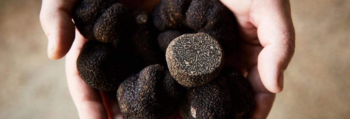 Truffle Hill