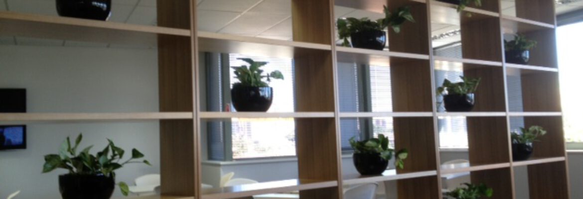 Foliage Indoor Plant Hire Melbourne