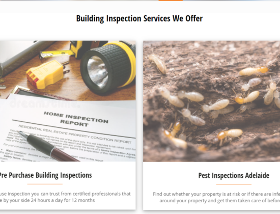 Building and Pest Inspectors Adelaide