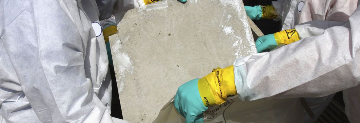 B&C Asbestos Removals