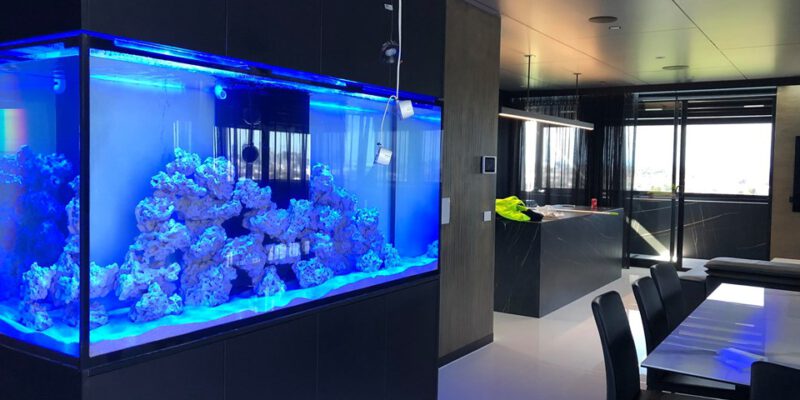 StarFire Aquatics