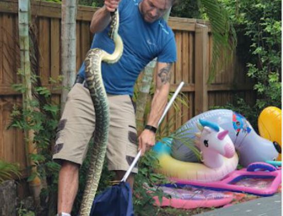SEQ Snake Catchers